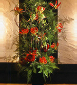 �t�����[�V���b�v �Ԃ̂悵�T