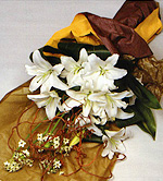 �t�����[�V���b�v �Ԃ̂悵�T