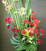 �t�����[�V���b�v �Ԃ̂悵�T