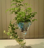 �t�����[�V���b�v �Ԃ̂悵�T