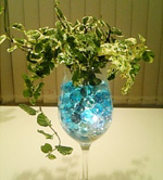 �t�����[�V���b�v �Ԃ̂悵�T