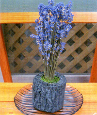 ���x���_�[