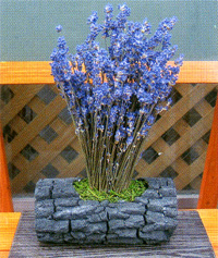 ���x���_�[