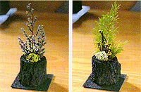 �v���U�[�u�h�v�����c