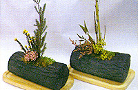 �v���U�[�u�h�v�����c