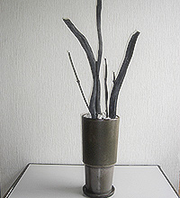 �E�L����L�A�����W�����Y