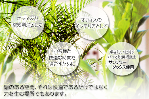 �ϗt�A���̃����^���ɂ���