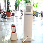 �����P�^���蔭����DAA